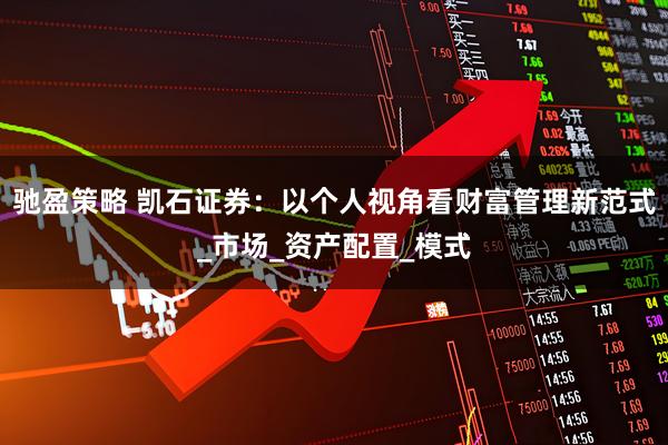 驰盈策略 凯石证券：以个人视角看财富管理新范式_市场_资产配置_模式