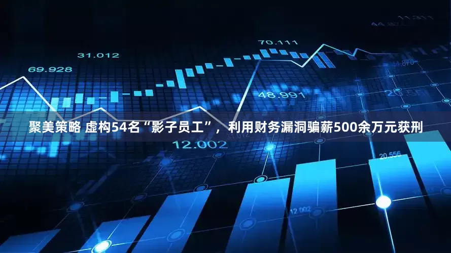 聚美策略 虚构54名“影子员工”，利用财务漏洞骗薪500余万元获刑