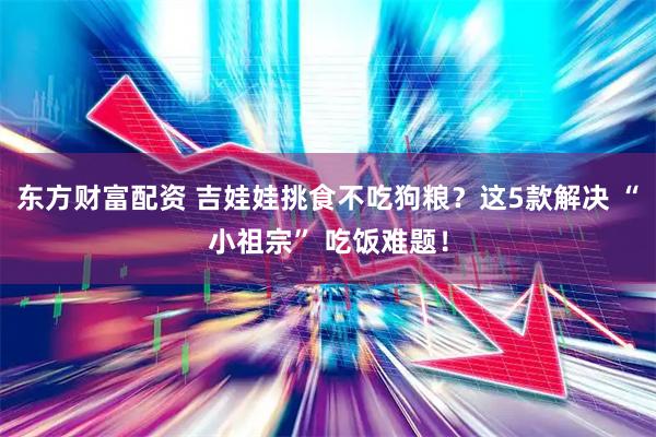 东方财富配资 吉娃娃挑食不吃狗粮？这5款解决 “小祖宗” 吃饭难题！