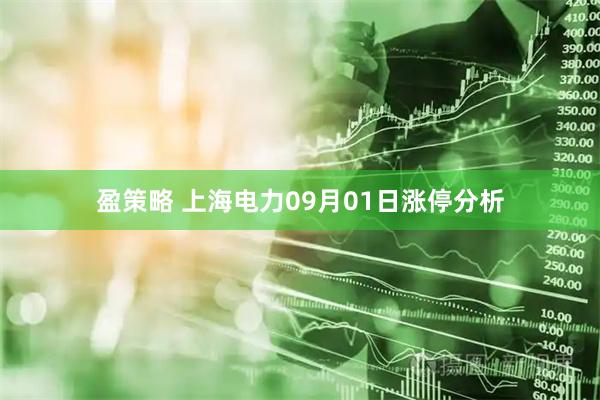 盈策略 上海电力09月01日涨停分析